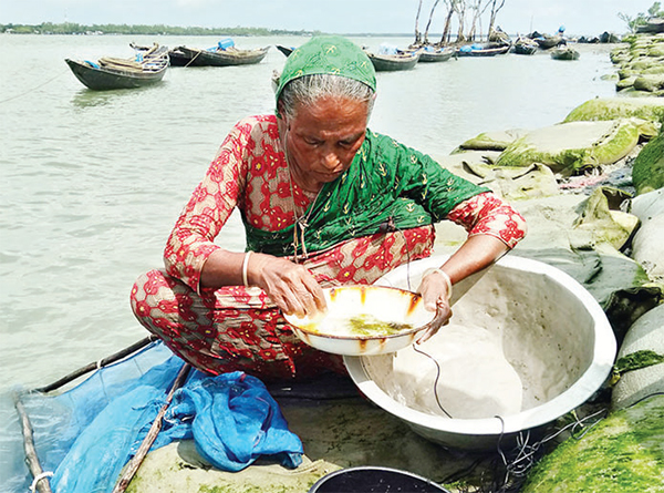 চিংড়ি পোনায় উপকূলের ৫০ হাজার মানুষের জীবিকা