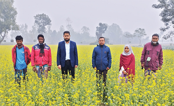 বীরগঞ্জে লক্ষ্যমাত্রার চেয়ে বেশি সরিষার চাষ