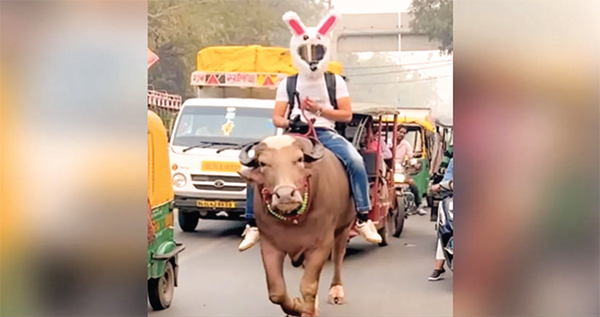 পেট্রলের দাম বৃদ্ধি