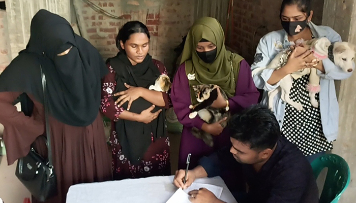 চাঁদপুরে ফ্লু রোগ প্রতিরোধে বিড়ালের ভ্যাকসিন ক্যাম্প