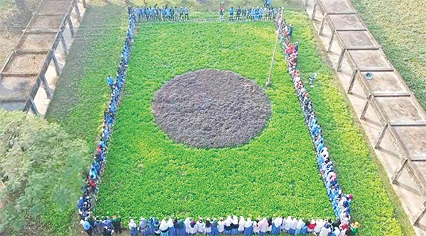 জাতীয় পতাকার আদলে সবজি খেত