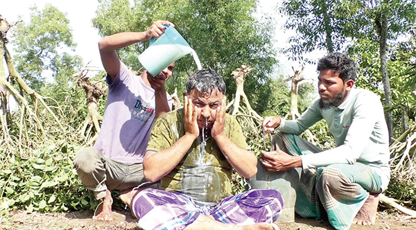 চা-বাগান উপড়ে ফেলে দুধ দিয়ে গোসল