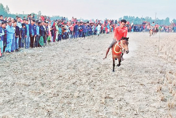 ঘোড়দৌড় দেখতে দর্শকের ভিড়