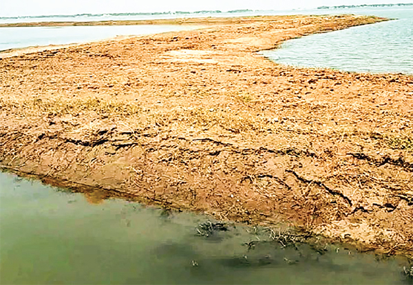 প্রতিবছর সরকারের গচ্ছা কোটি কোটি টাকা