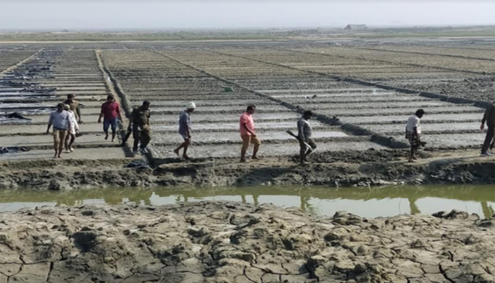 মহেশখালীতে প্যারাবন ধ্বংস করে 'এরশাদ চক্রে'র লবণ মাঠ