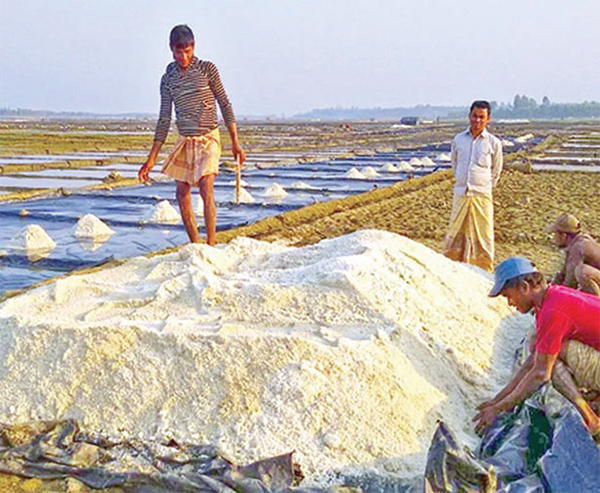 মৌসুমেও ঊর্ধ্বমুখী লবণের বাজার