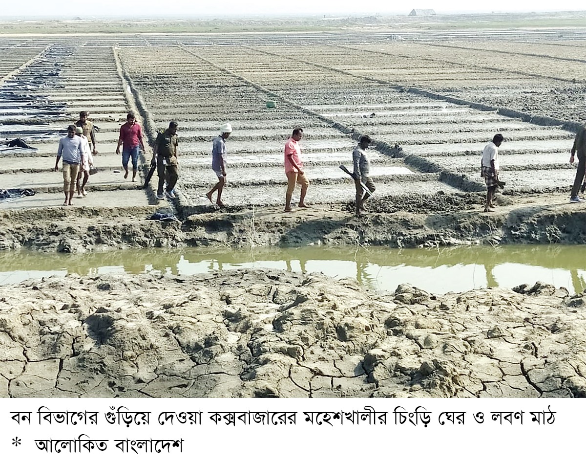 মহেশখালীতে প্যারাবন ধ্বংস করে ২৫০ একর ভূমি দখলের অভিযোগ