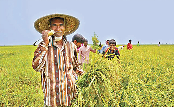 নিরাপদ খাদ্য নিশ্চিত সরকারের জন্য চ্যালেঞ্জ