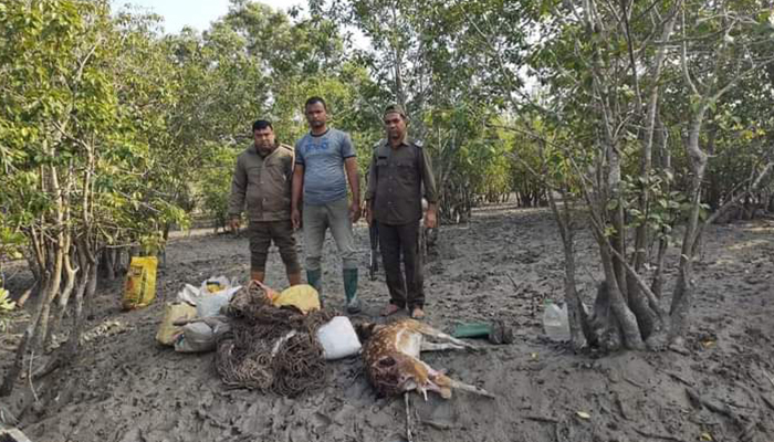 সুন্দরবন-সাতক্ষীরা রেঞ্জ থেকে শিকারকৃত হরিণসহ ফাঁদ উদ্ধার