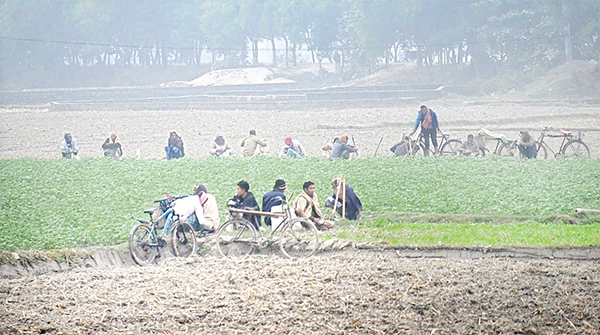 রংপুরে জেঁকে বসেছে শীত