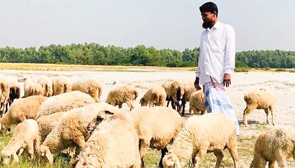 কৃষিকাজ করে মাসে লাখ টাকা আয় আরিফের