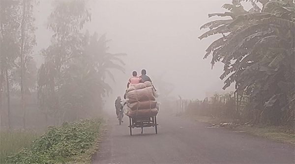 টানা পাঁচ দিন চলছে শৈত্যপ্রবাহ