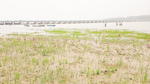 শুকনো মৌসুমের আগেই পানিশূন্য তিস্তা