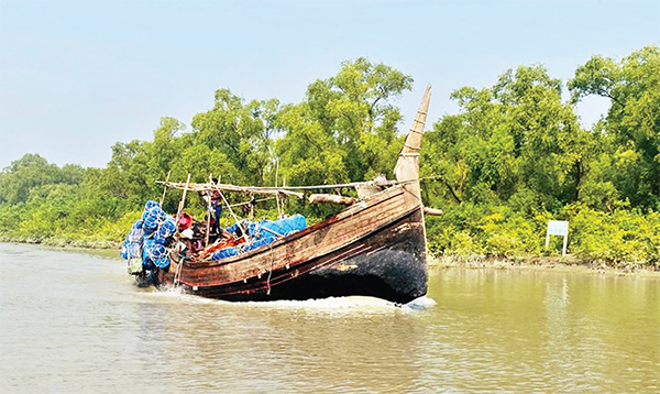 রূপে ঝলমল নিঝুমদ্বীপ