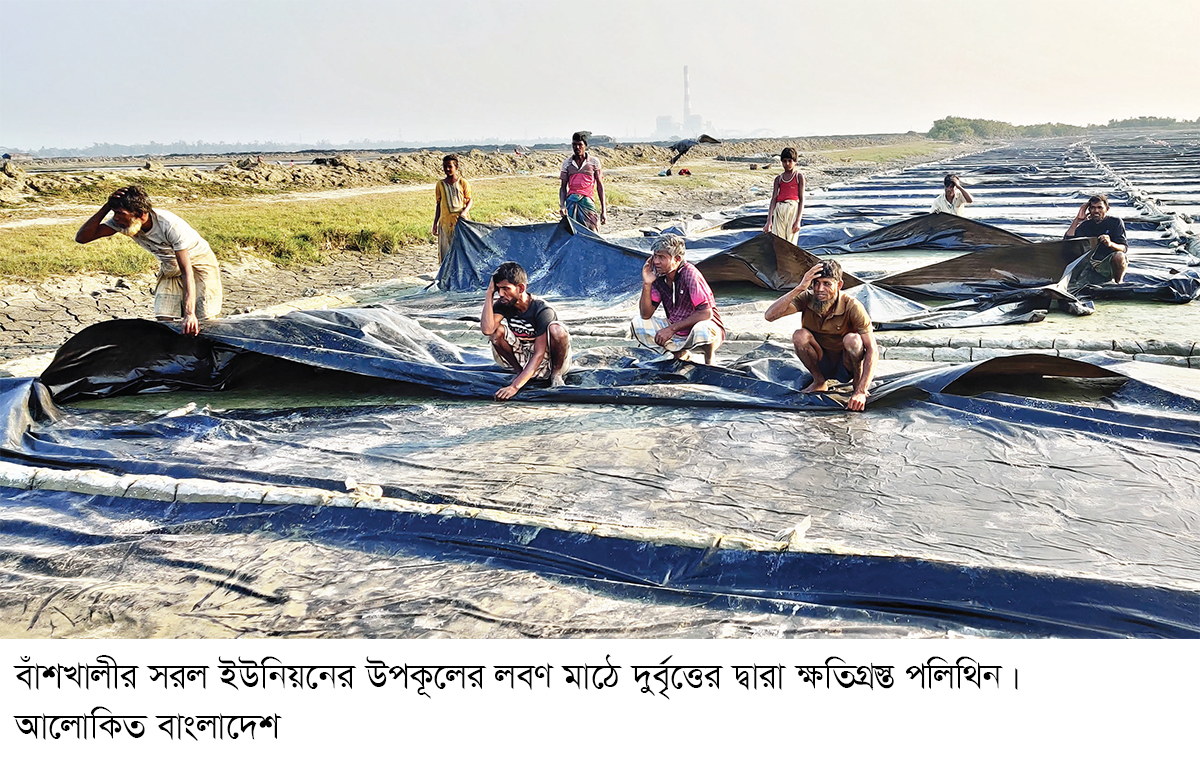 বাঁশখালীতে লবণ মাঠের পলিথিন কেটে শত্রুতা