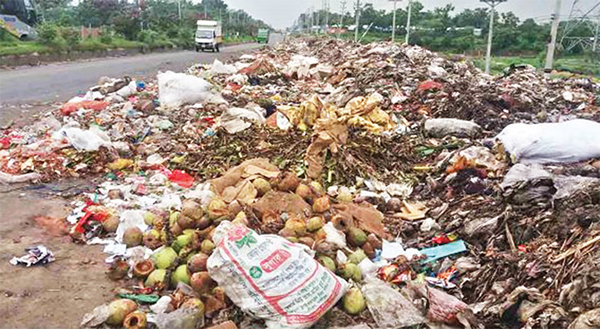 মহাসড়ক ঘেঁষে ময়লার ভাগাড়