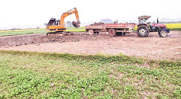 সিংগাইরে কৃষি জমির মাটি যাচ্ছে ইটভাটায়