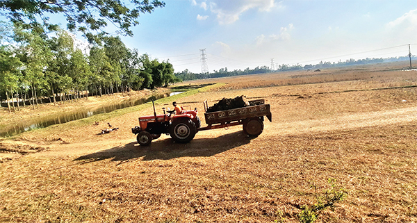 নবীগঞ্জে ফসলি জমির মাটি যাচ্ছে ইট ভাটায়