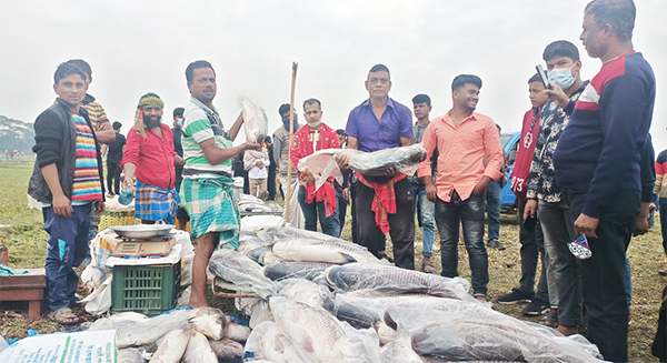 জামাই-শ্বশুরের মাছ কেনার প্রতিযোগিতা