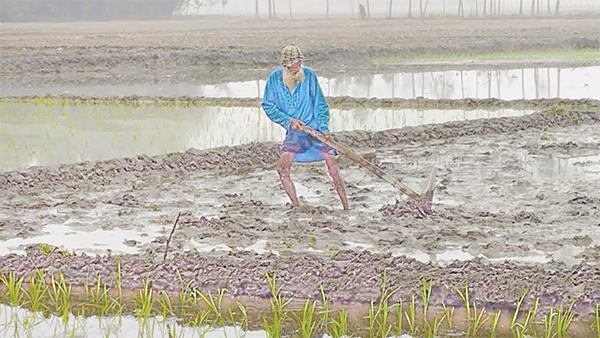 হাড় কাঁপানো শীতে বিপর্যস্ত জীবন