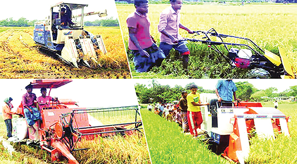 আত্মনির্ভরশীল দেশ গঠনে কৃষির উৎপাদন বৃদ্ধি