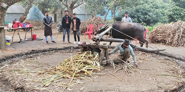 লালি উৎপাদনে খরচ বেড়েছে