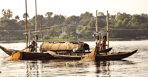 ৪ মাসেই পাওয়া গেল এক মৌসুমের মাছ