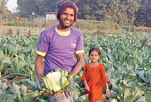 তিতাসে ফসলের মাঠজুড়ে শীতকালীন সবজির সমারোহ