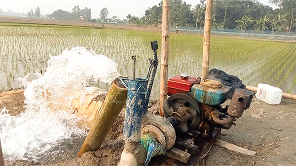 গাইবান্ধায় বোরো চাষে বাড়তি খরচ