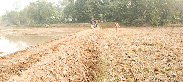 ঝিনাইগাতীতে বোরো আবাদ ব্যাহত হওয়ার আশঙ্কা