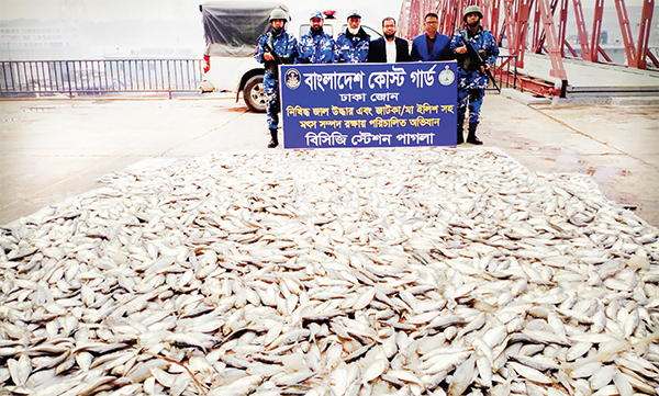 নারায়ণগঞ্জে কোস্ট গার্ডের ২ অভিযান জেলি পুশকৃত চিংড়ি ও জাটকা জব্দ