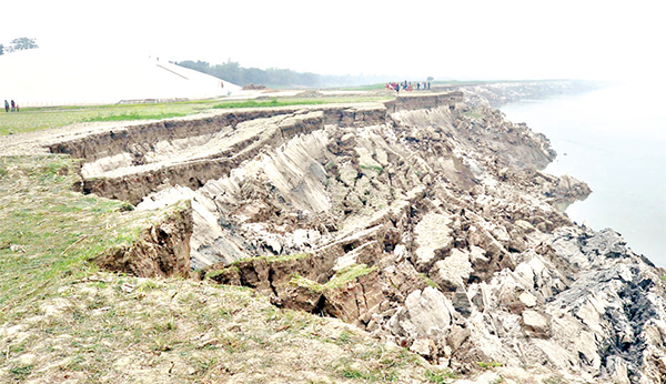 কুষ্টিয়ায় অসময়ে পদ্মার ভাঙনে বিলীন হচ্ছে জমি-বাড়িঘর