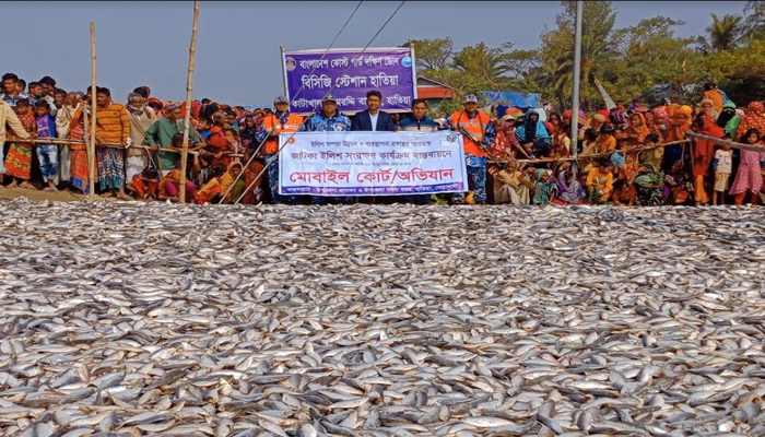 নোয়াখালীর মেঘনা নদী থেকে ৪২০ মন জাটকা জব্দ