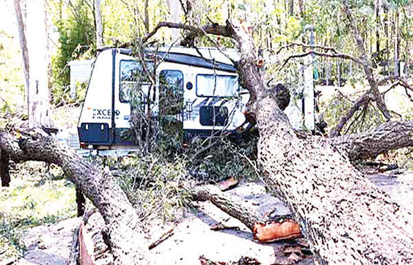 অস্ট্রেলিয়ায় ঘূর্ণিঝড়ে হাজারো মানুষ বিদ্যুৎহীন