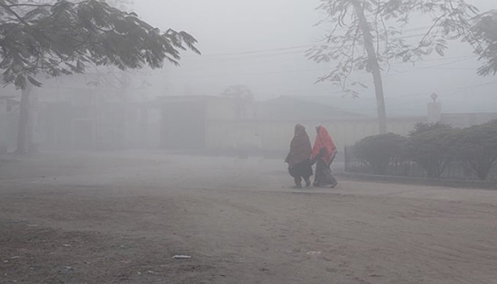 দেশের ২২ জেলায় বইছে মৃদু শৈত্যপ্রবাহ