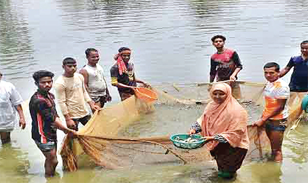 দিনাজপুরে মাছের পোনা চাষ করে স্বাবলম্বী সাদেকা বানু