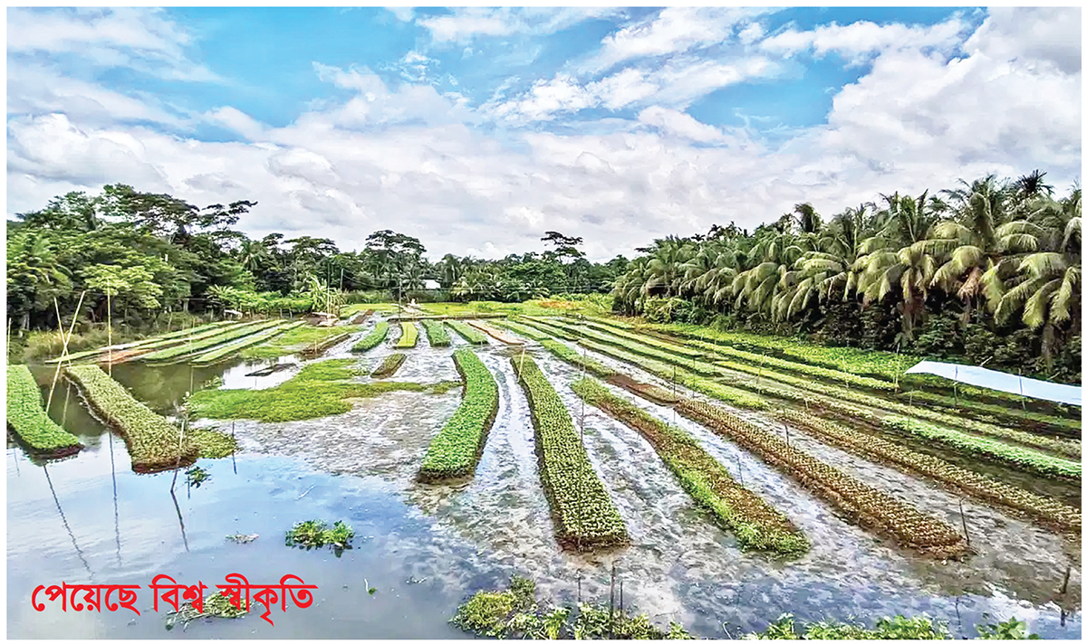 স্মার্ট কৃষি প্রযুক্তি : ভাসমান সবজিবাগান