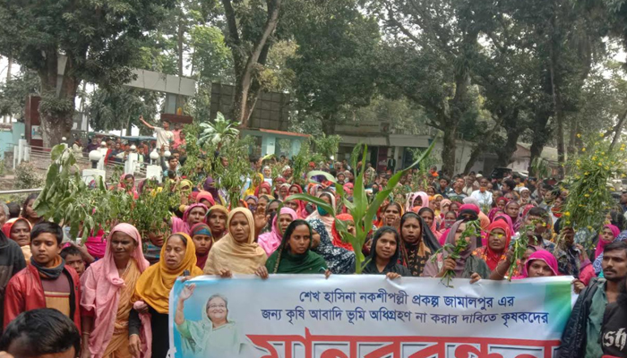 জামালপুরে তিনফসলি জমিতে নকশিপল্লী না করার দাবিতে কৃষকদের মানববন্ধন, বিক্ষোভ মিছিল 