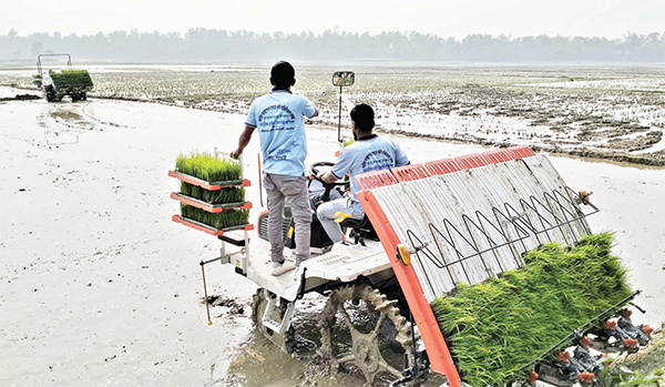 রাইস ট্রান্সপ্লান্টারের মাধ্যমে চারা রোপণ উদ্বোধন