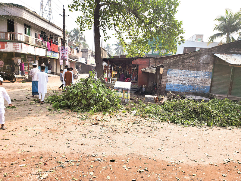 সরকারি অনুমতি ছাড়াই উপশহর এলাকা থেকে কাটা হচ্ছে গাছ