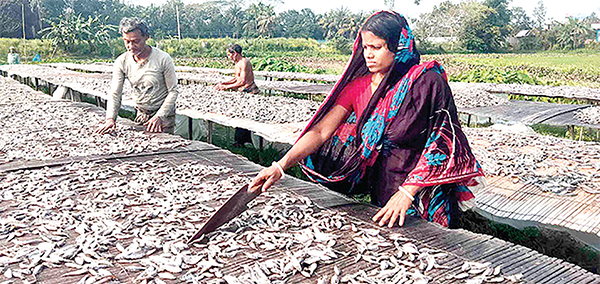 হতাশায় দিন কাটছে শুঁটকি পল্লির পরিবারগুলোর