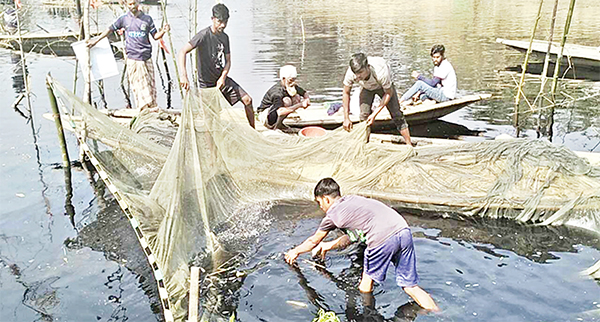 চিনিকলের বর্জ্যে দূষিত তুলসীগঙ্গা নদী