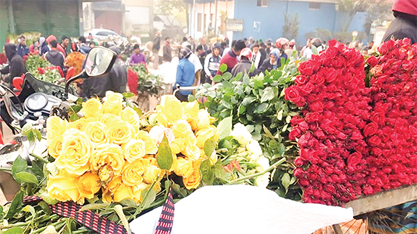 ফাগুন হাওয়ায় ফুলের আগুন দাম