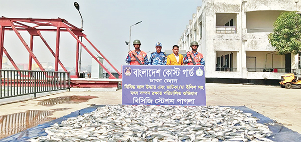 কোস্ট গার্ডের অভিযানে বিপুল পরিমাণ জাটকাসহ আটক সাত