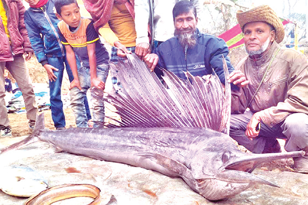 ঐতিহাসিক পোড়াদহ মেলার আকর্ষণ ‘পাখি মাছ’