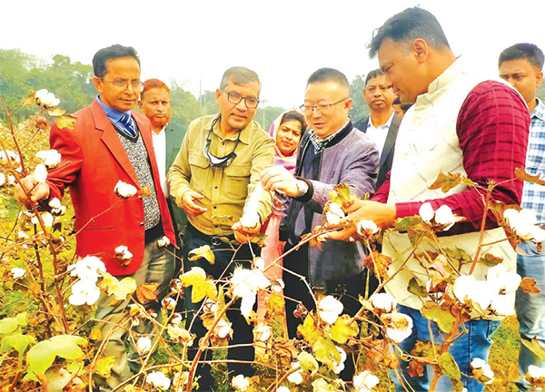 উন্নত জাত ও প্রযুক্তি উদ্ভাবনে শ্রীপুর তুলা