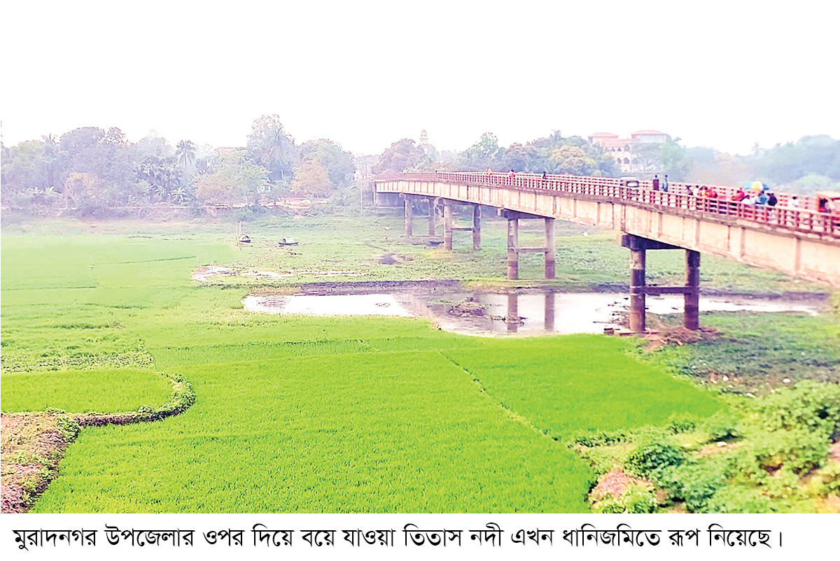 রূপ লাবণ্য হারিয়ে অস্তিত্ব সংকটে তিতাস নদী