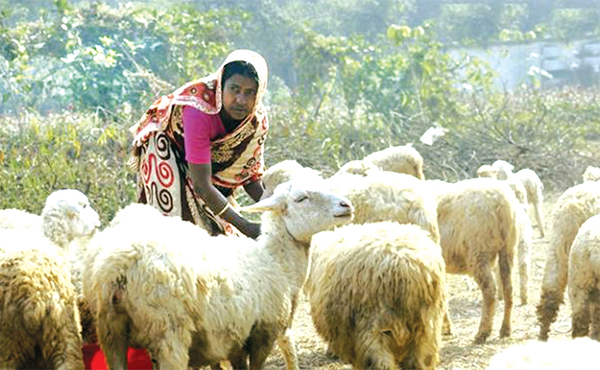 চরের নারীদের দিনবদলের স্বপ