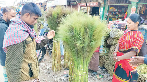 ঝাড়ুফুলে পাহাড়িদের জীবিকা নির্বাহ