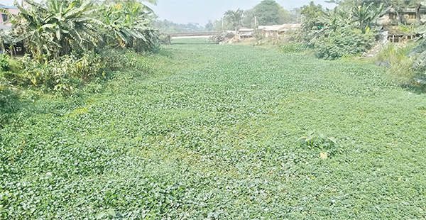 বর্ষা মৌসুমে বন্যার আশঙ্কা